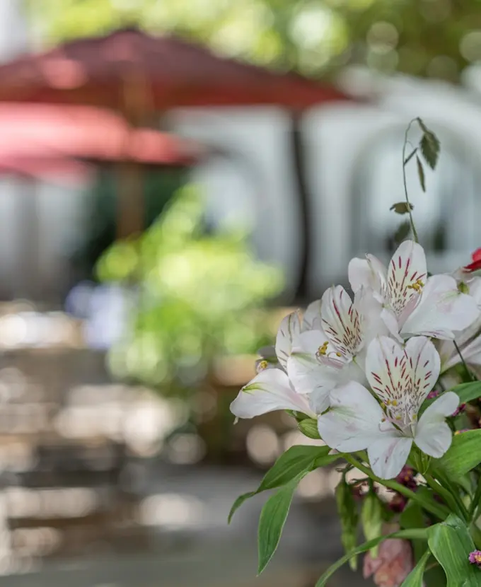 Muttertag in der Alten Post 