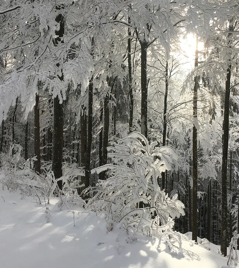 Winterurlaub
