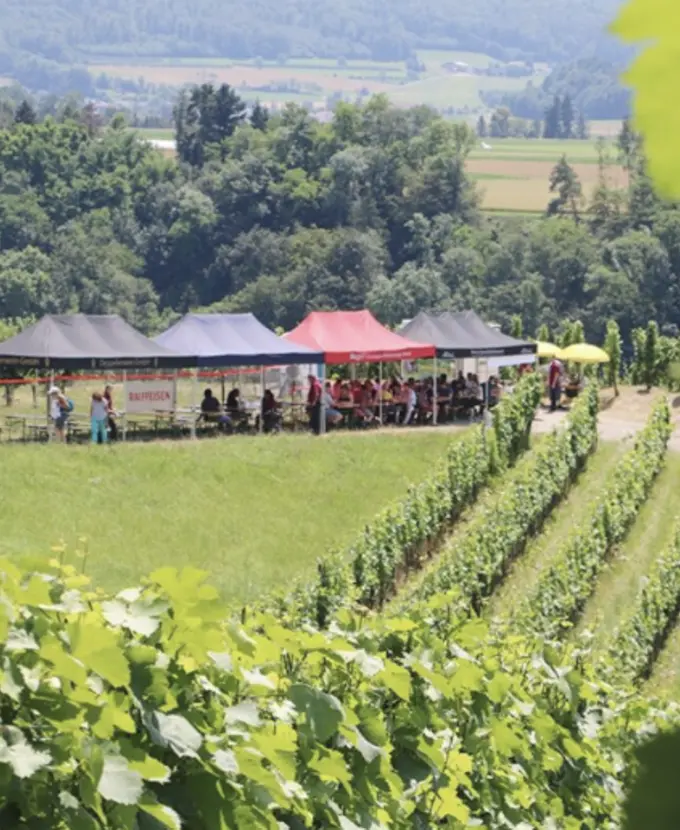 Kulinarische Weinwanderung Markgräflerland